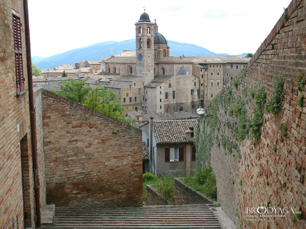 Urbino